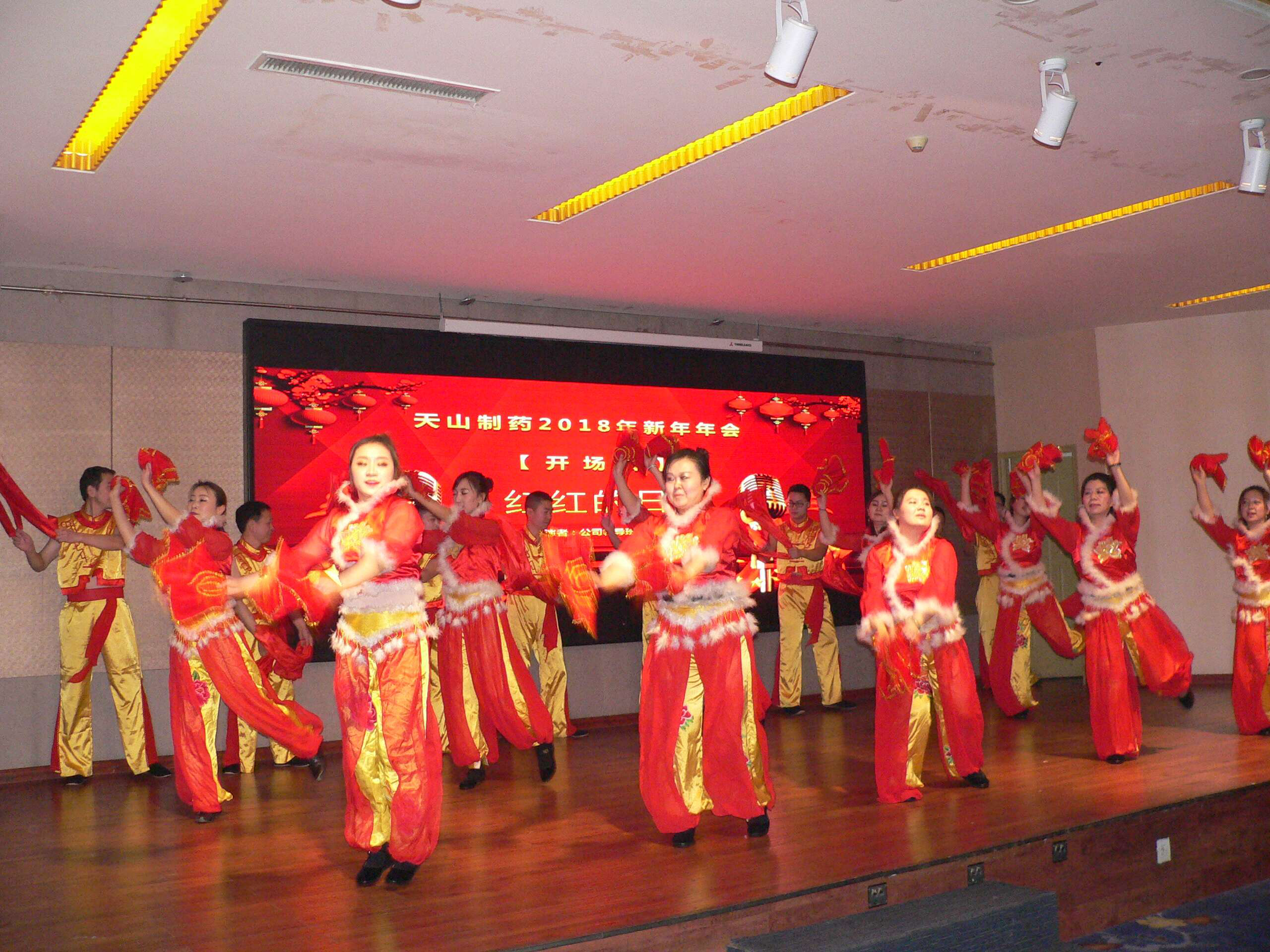 天山制藥召開2017年度總結贊譽會