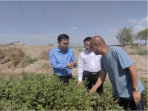 周興兵赴天山藥業(yè)基層聯(lián)系點進行調研